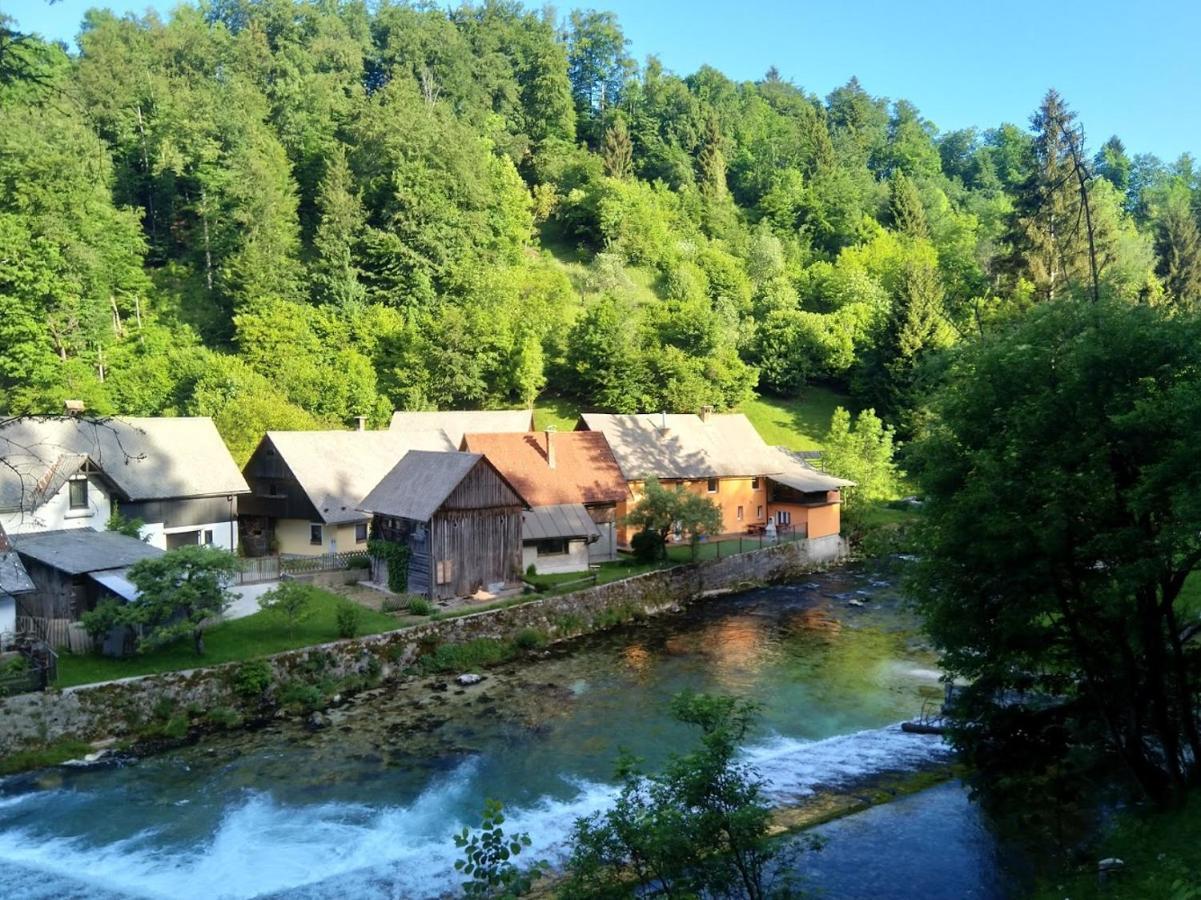 Vila House By The River Zgornje Gorje Exteriér fotografie